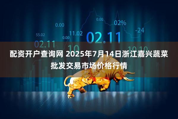 配资开户查询网 2025年7月14日浙江嘉兴蔬菜批发交易市场价格行情
